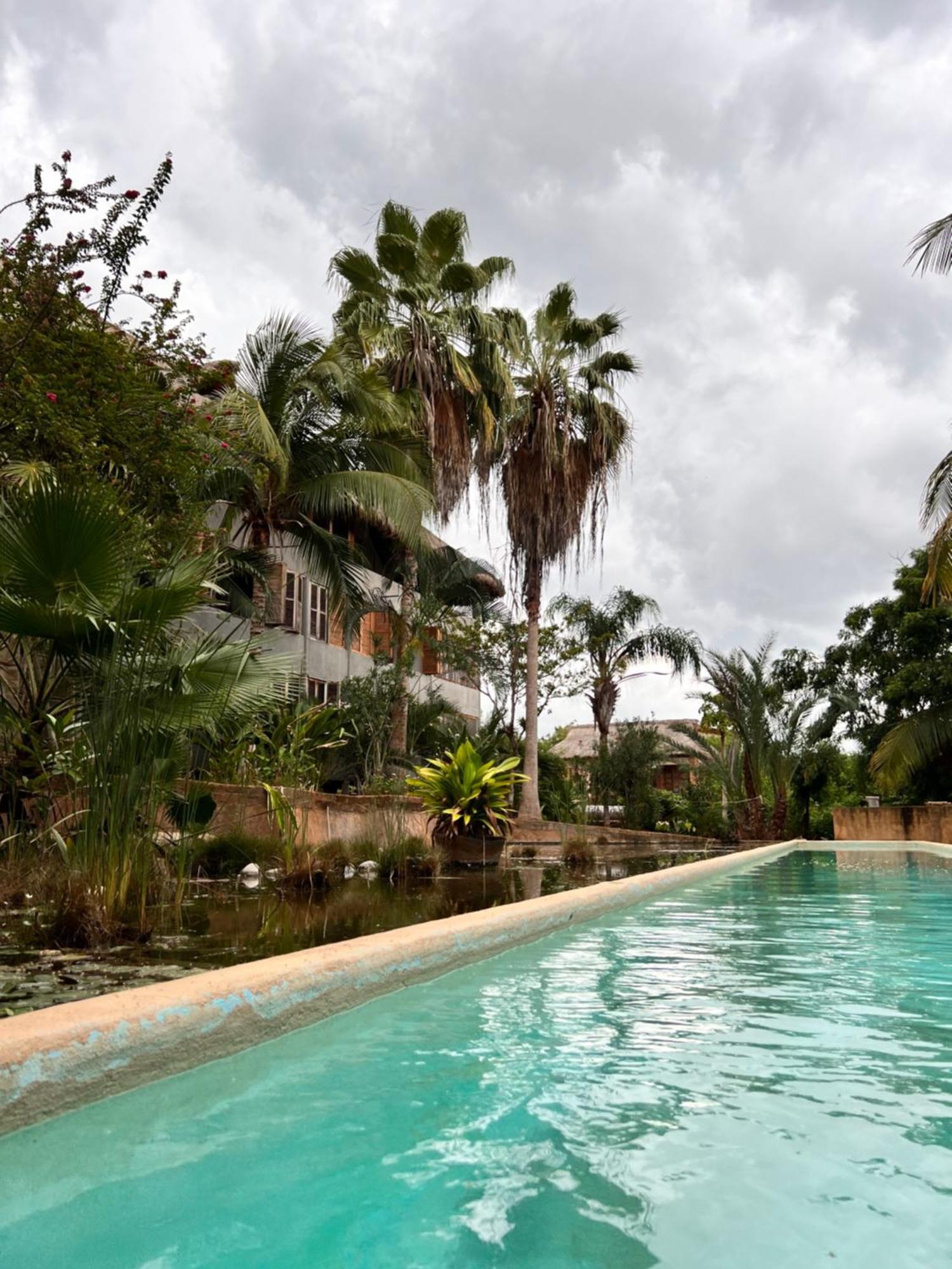 Puerto Escondido Pool, Beach Club, Starlink Wifi & Ac Paso Hondo Exterior foto
